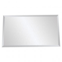 Mirror Tray 18x12" Beveled