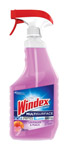 Windex MultiSurface 23oz Asstd