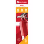 Fire Extinguisher 1A:10B-C