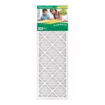 90 Day Filter 10" x 30" x 1"