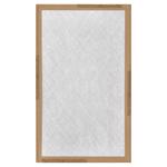 30 Day Filter 12"x20"x1"