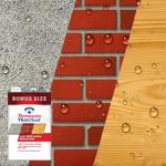 Thompson's WaterSeal 1.2 Gallo