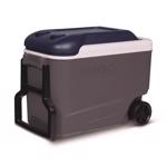 Cooler Chest 40qt Roller Igloo