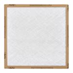 30 Day Filter 14"x14"x1"