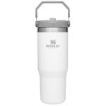 Stanley IceFlow 30oz POLAR