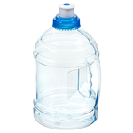 H2O On-The-Go Mini 18oz Bottl