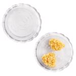 Garlic Twist - Clear HIC