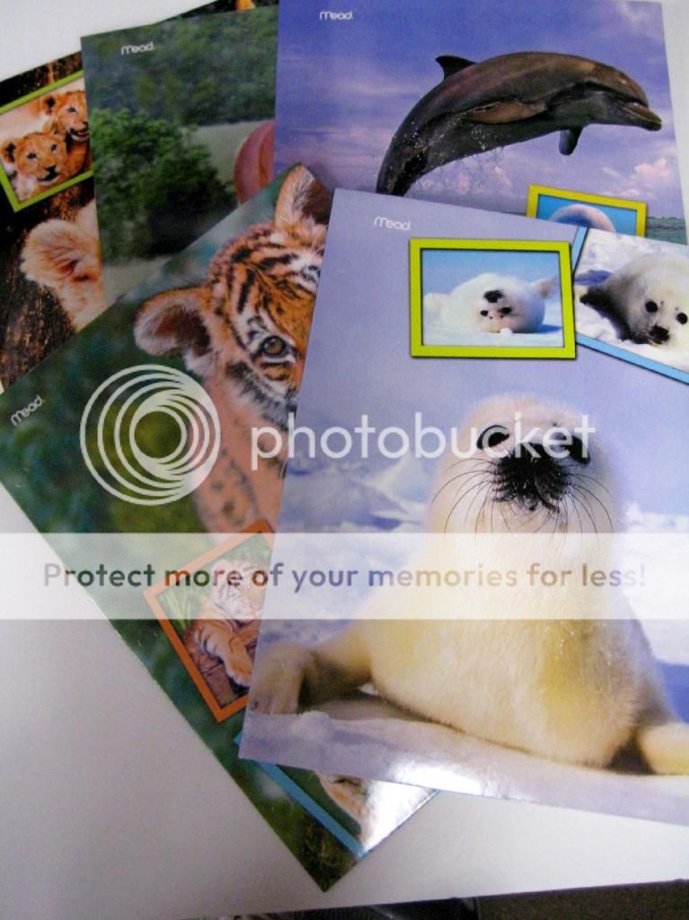 Mead Baby 'Zoosters 'Portfolio