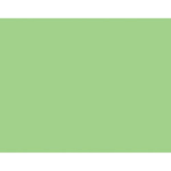 Posterboard Light Green 22x28