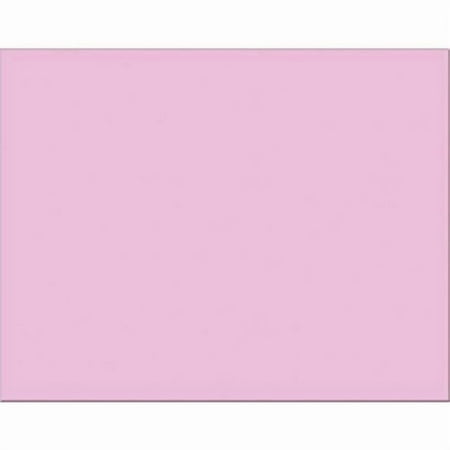 Posterboard Pink 22x28