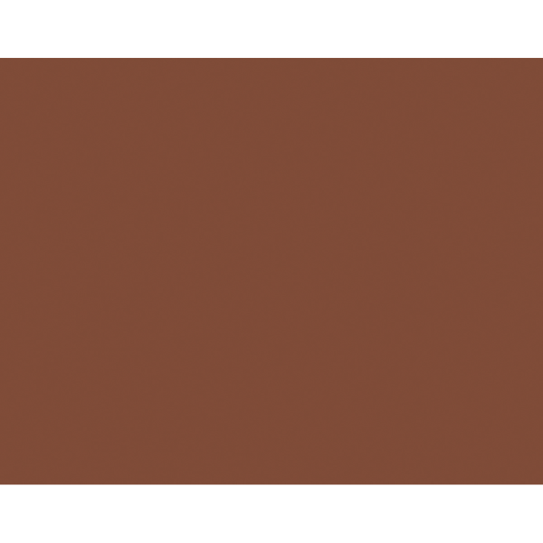 Posterboard Brown 22" x 28"