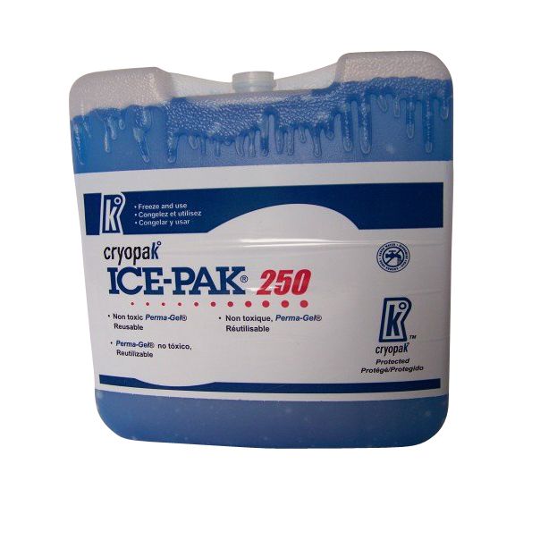 ICE PAK-8x8x1.75- Jumbo
