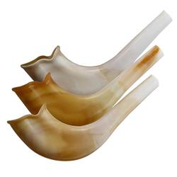 Shofar Plastic 5" Natura 10ct