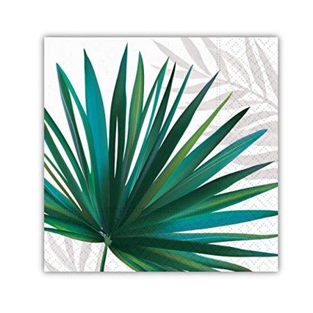 Palm Oasis BN 20ct