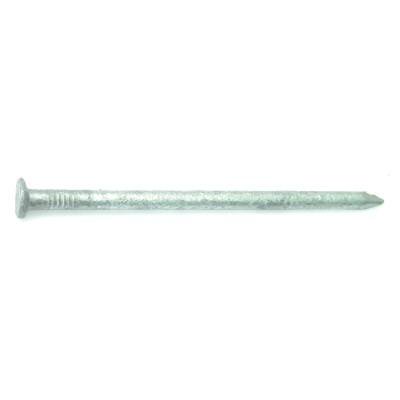 Common Nail GLVNZ 20D-4" 4oz