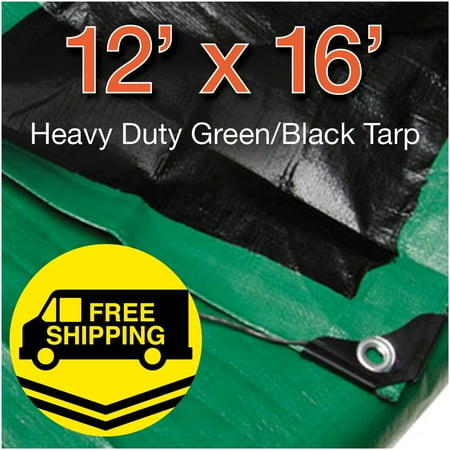 Tarp GRN/BLK 10 Mil 12' x 16'