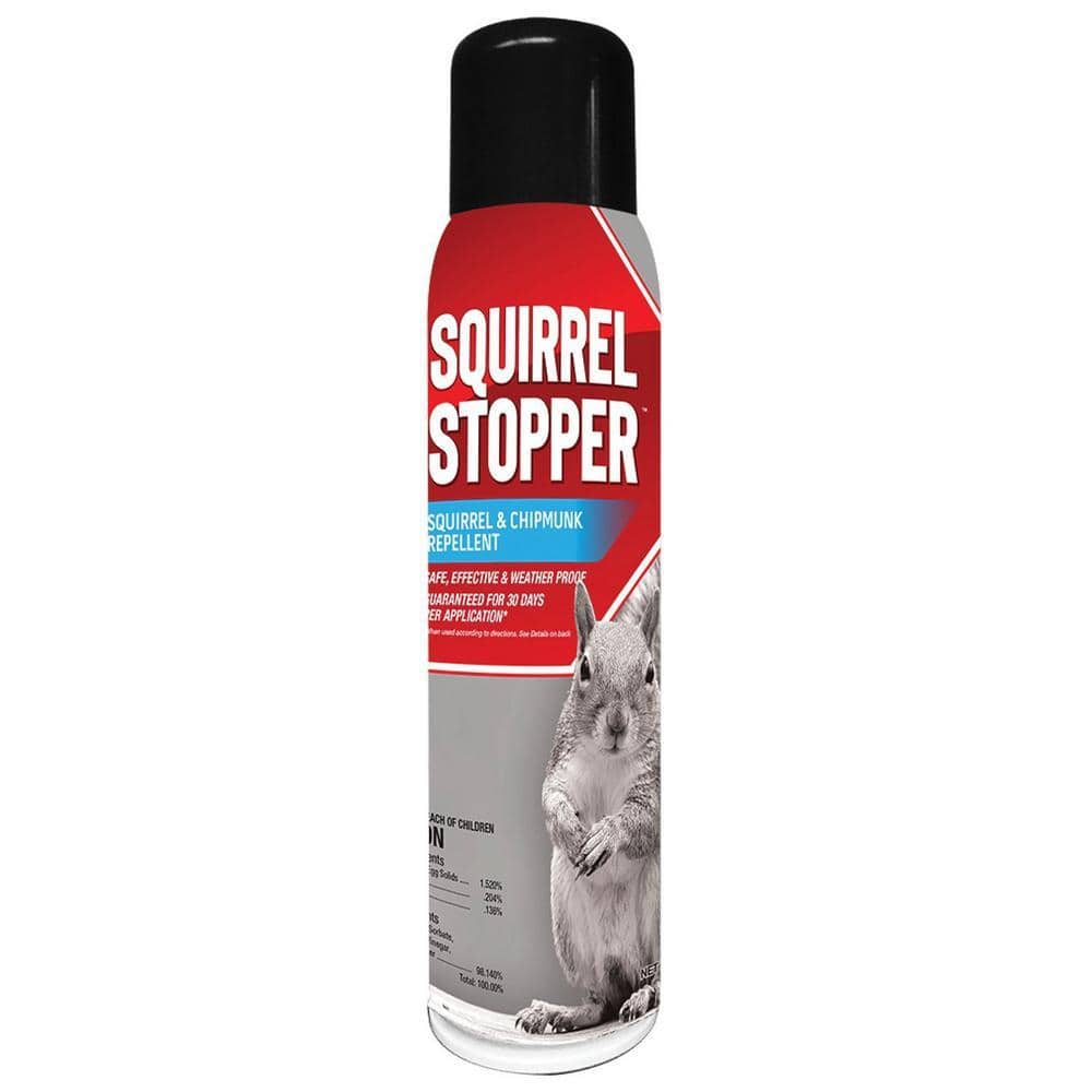 Squirrel Stopper Aerosol Spray