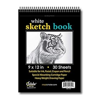 Sketch Pad 9"x12" 30sht Spiral