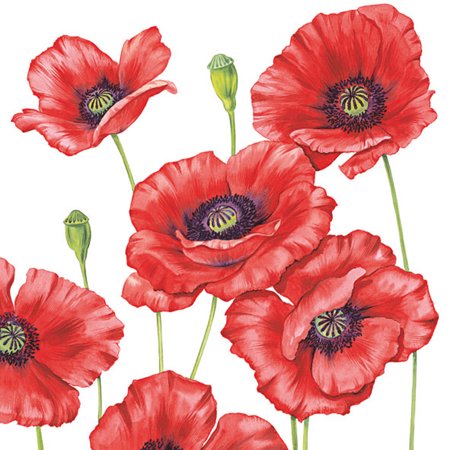 Romantic Poppy LN 20ct