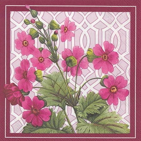 Trellis Primrose CN