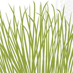 Seagrass  CN