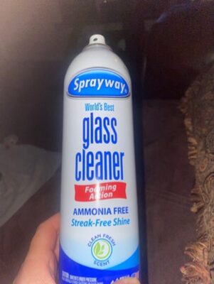 Sprayway Glass Cleaner 19 oz.