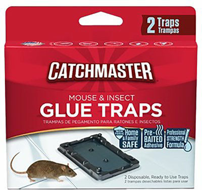 Glue Trap - 2pk.