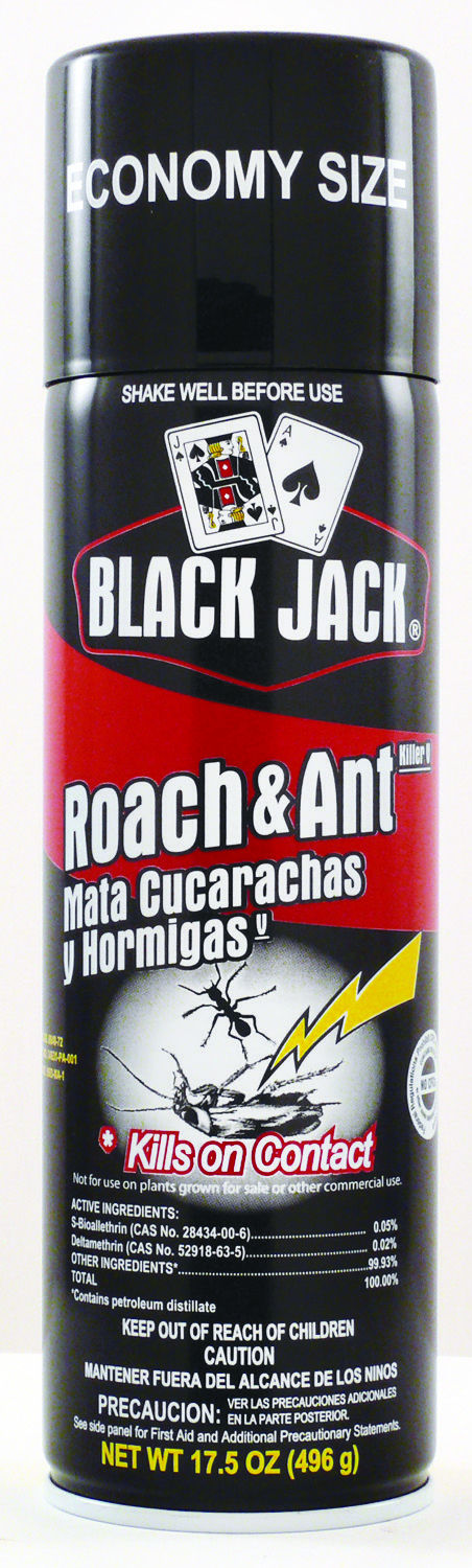 Ant & Roach 17.5oz Black-Jack