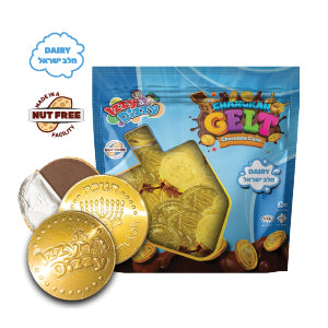 Chocolate Coins NF 25ct Dairy
